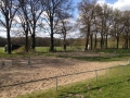 k-IMG_1903.JPG