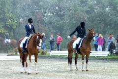 RUF Nordhorn WBO 2013