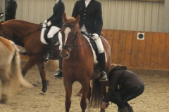 Vereinsmeisterschaft 2013