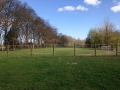 k-IMG_1854.JPG