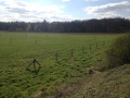 k-IMG_1866.JPG