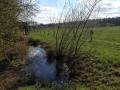 k-IMG_1876.JPG