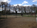 k-IMG_1964.JPG