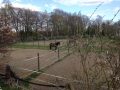 k-IMG_1967.JPG