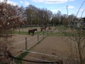 k-IMG_1968