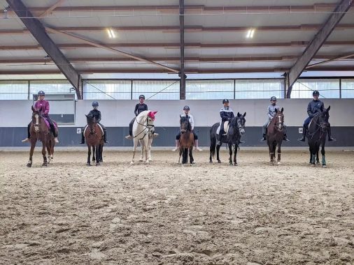 Reitunterricht (4)